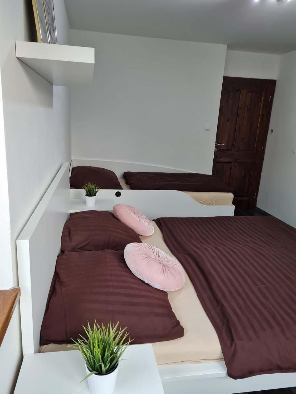 Vila Max - Whirlpool & Bazen & Sauna Velke Losiny Exterior photo