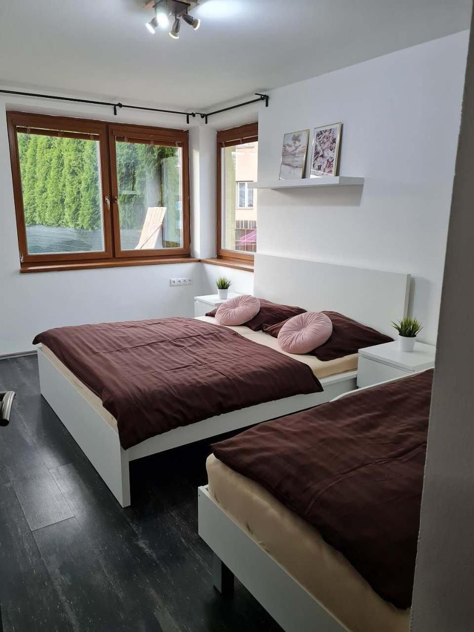 Vila Max - Whirlpool & Bazen & Sauna Velke Losiny Exterior photo